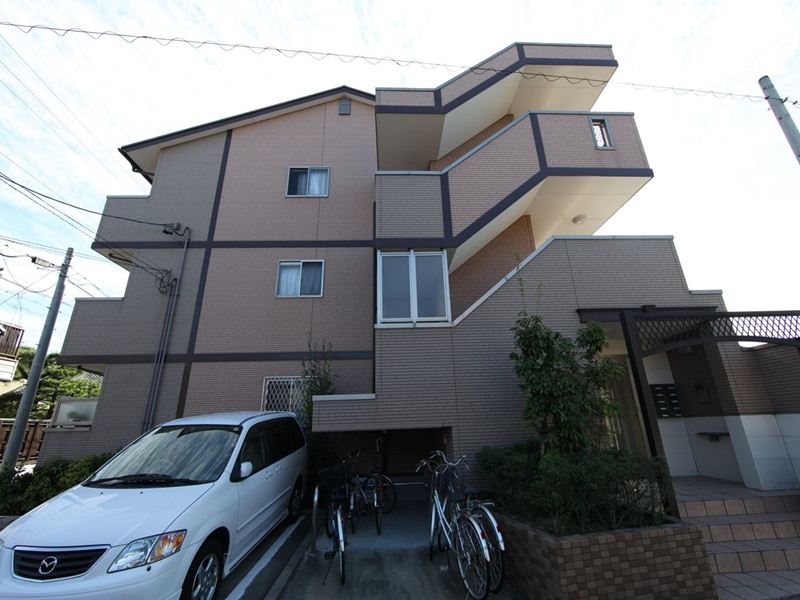 ボアタマリス 0816