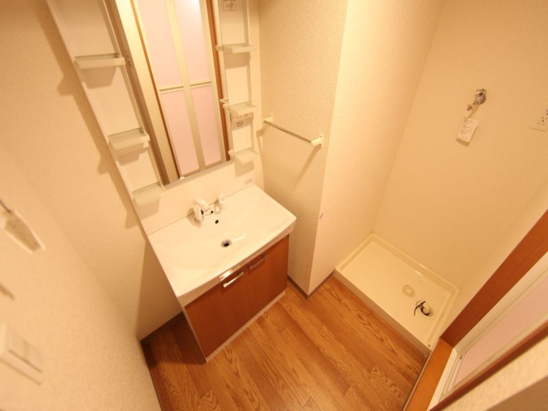 脱衣所 シャンプードレッサー付き