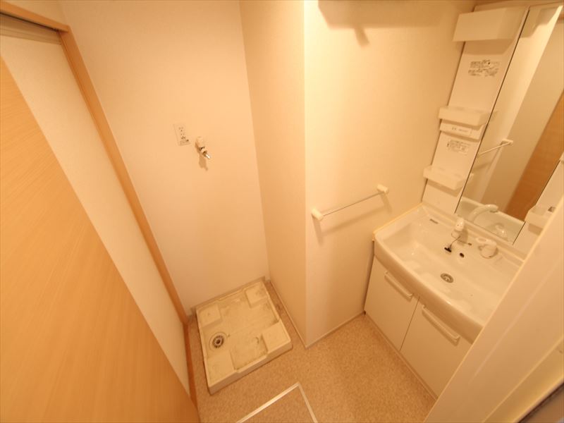 脱衣所 シャンプードレッサー付き