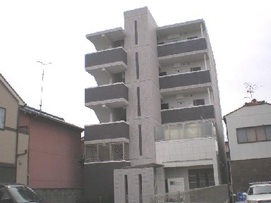 欅　（けやき）