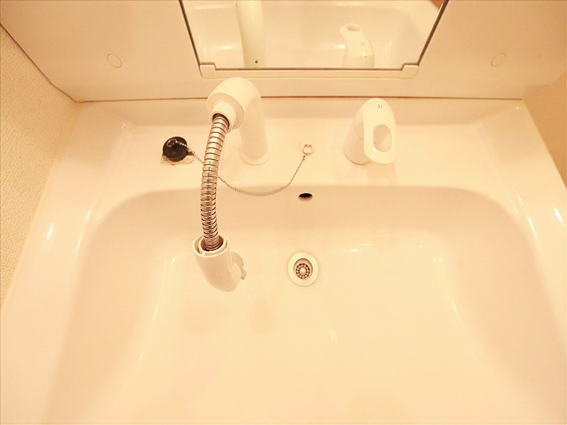 シャンプードレッサー