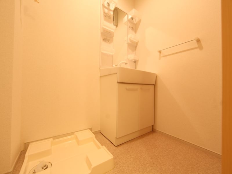 同タイプ脱衣所(シャンプードレッサー付)