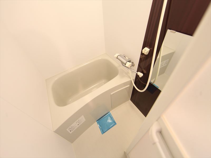 バスルーム 鏡がついています