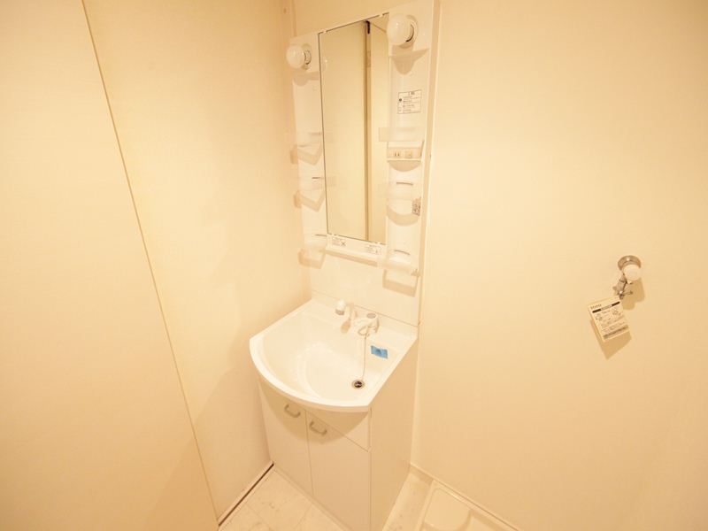 脱衣所 シャンプードレッサー付