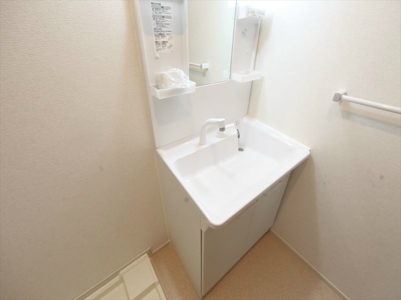 シャンプードレッサー