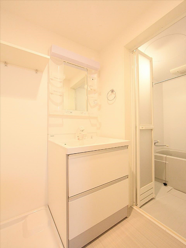 シャンプードレッサー 洗面脱衣場