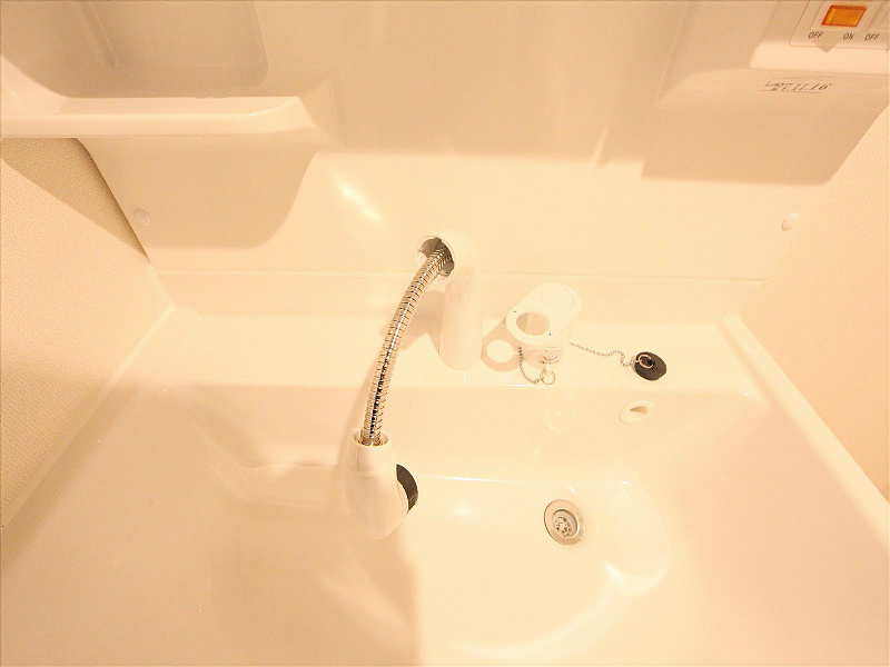 シャンプードレッサー