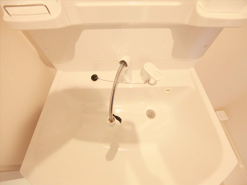 シャンプードレッサー