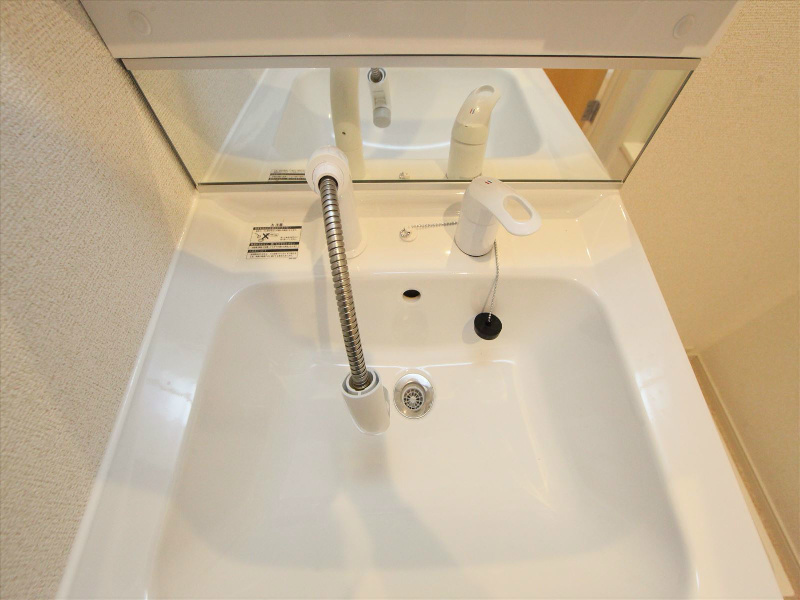 シャンプードレッサー