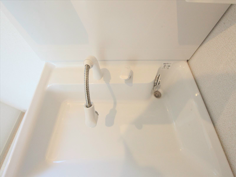 シャンプードレッサー