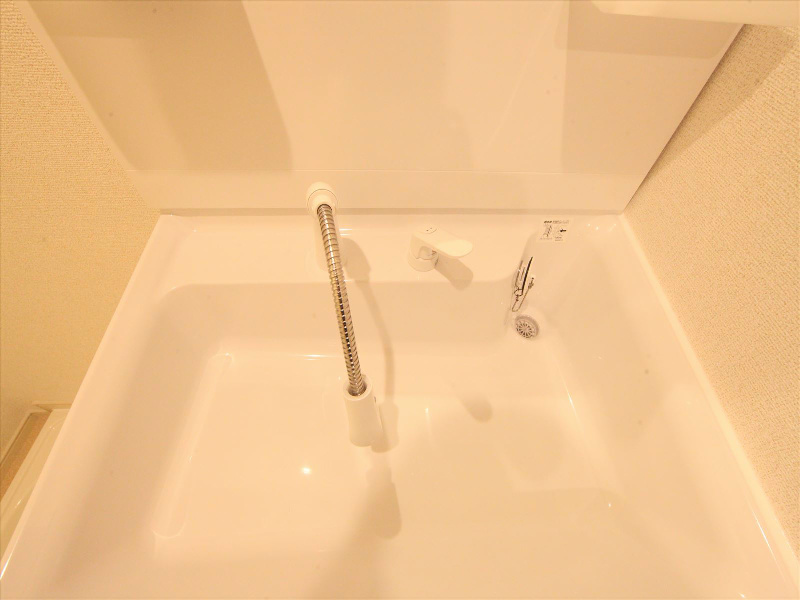 シャンプードレッサー