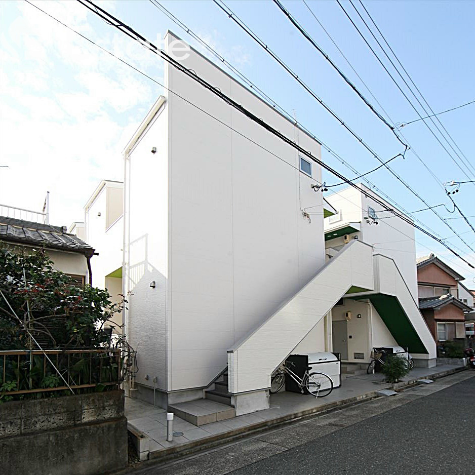 クローバー　（クローバー）