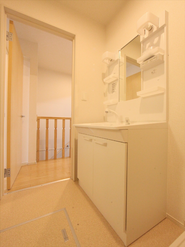 シャンプードレッサー