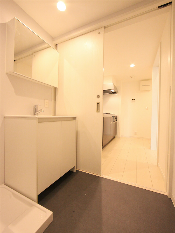 シャンプードレッサー