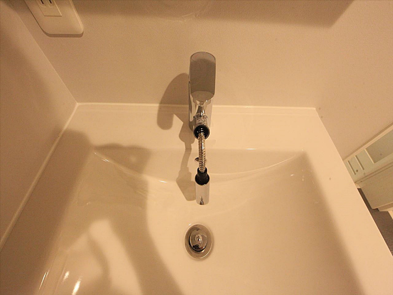 シャンプードレッサー