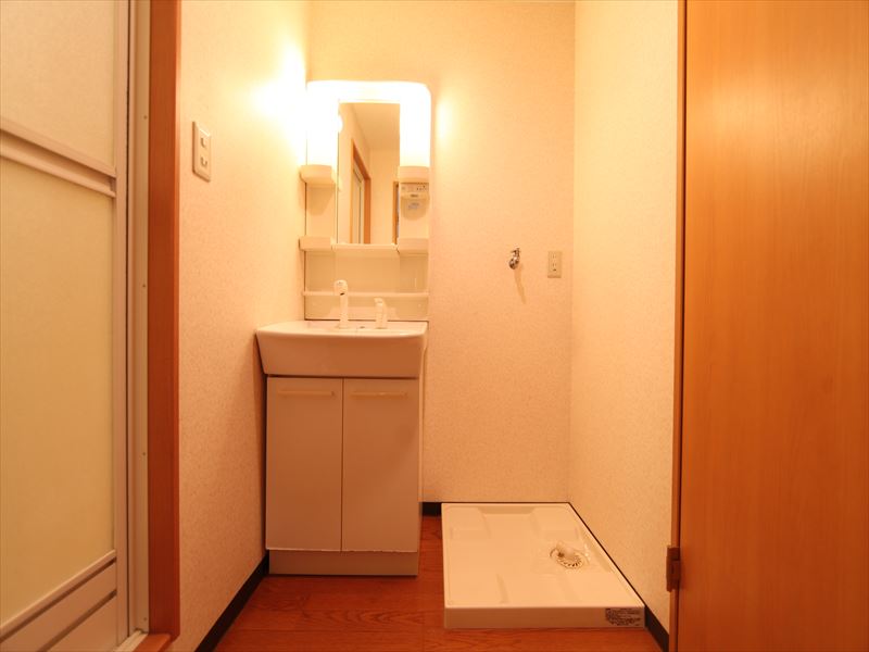 洗面所 独立洗面台 室内洗濯機置場