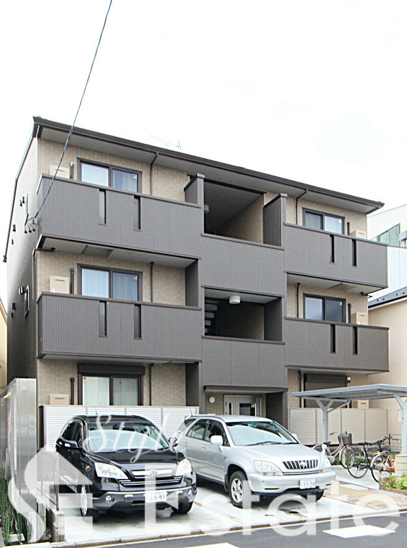 ラインハイム　菫　（ラインハイムスミレ）