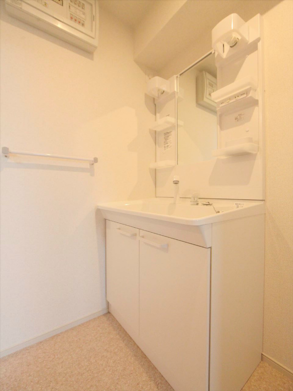 シャンプードレッサー