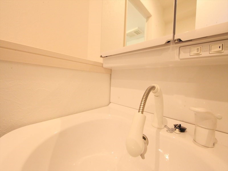 シャンプードレッサー