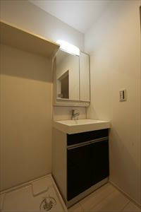 シャンプードレッサー