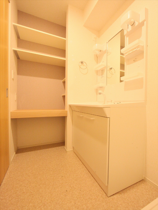 シャンプードレッサー 棚有り 同タイプ写真