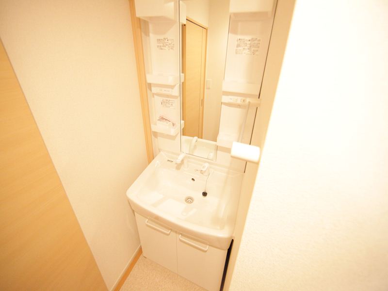 脱衣所 シャンプードレッサー付き