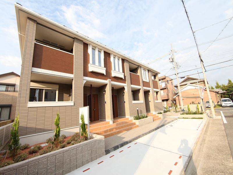 プラシードＮ　（プラシードエヌ）