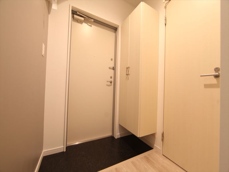 玄関 シューズボックス有ります