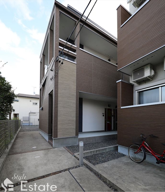 Manta ray　（マンタレイ）