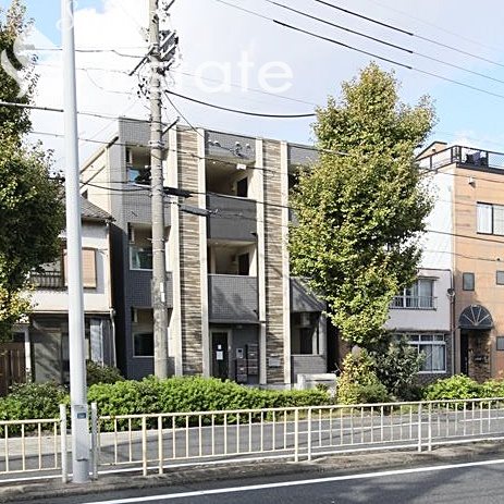 セレーノホンジン