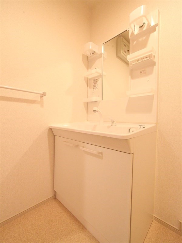 シャンプードレッサー