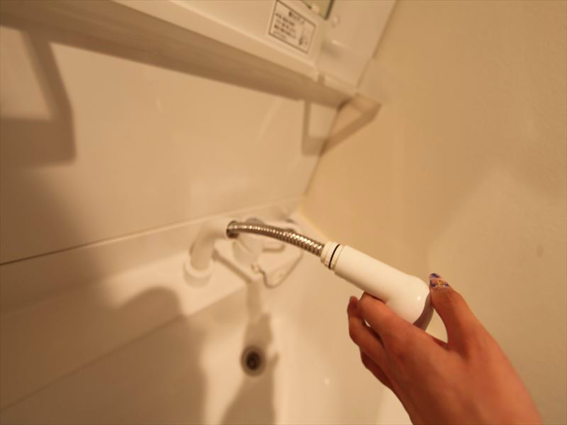 シャンプードレッサー