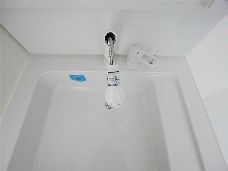 シャンプードレッサー