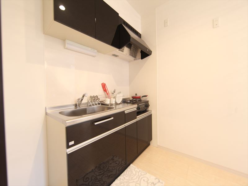 システムキッチン(2口ガスコンロ・グリル付)モデルルーム