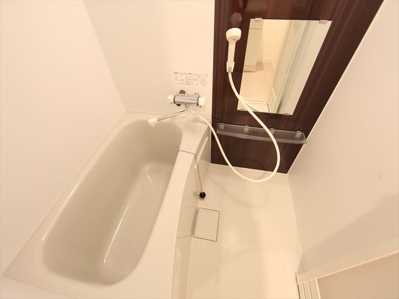 バスルーム 鏡がついています