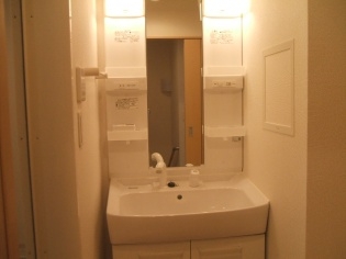 シャンプードレッサー 独立洗面所