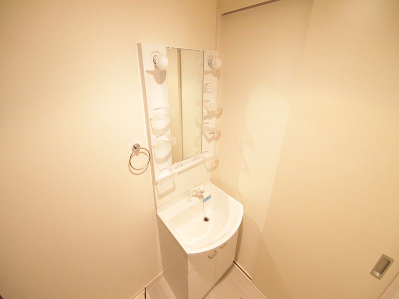 同タイプイメージ画像 脱衣所(シャンプードレッサー付き 室内洗濯機置き場)