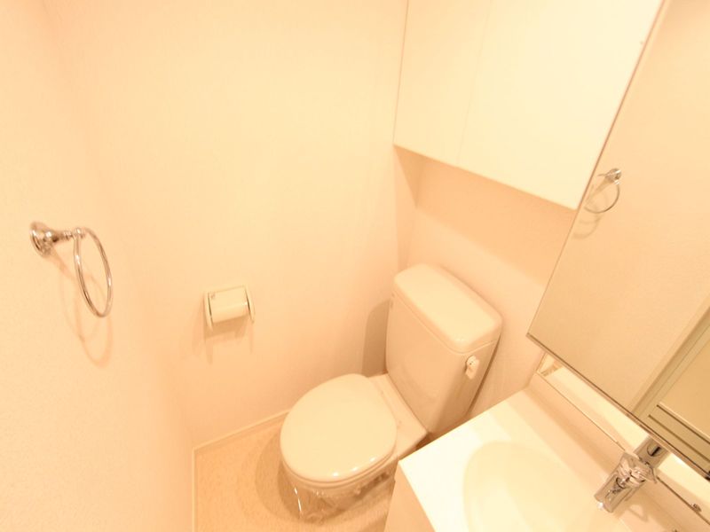 洗面所兼トイレ脱衣スペース