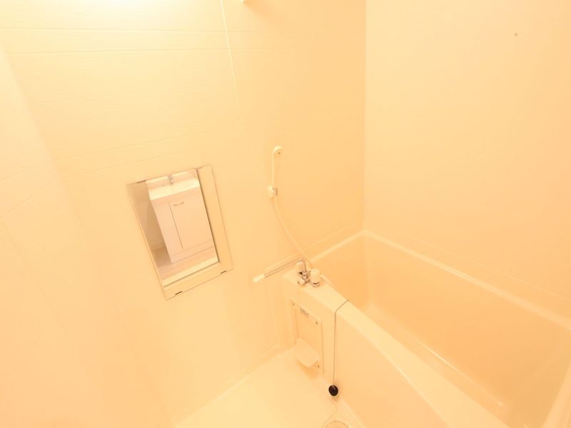 バストイレ別トイレ兼脱衣スペース有