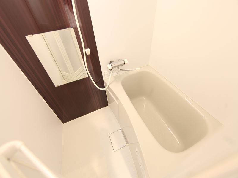 バスルーム 鏡がついています