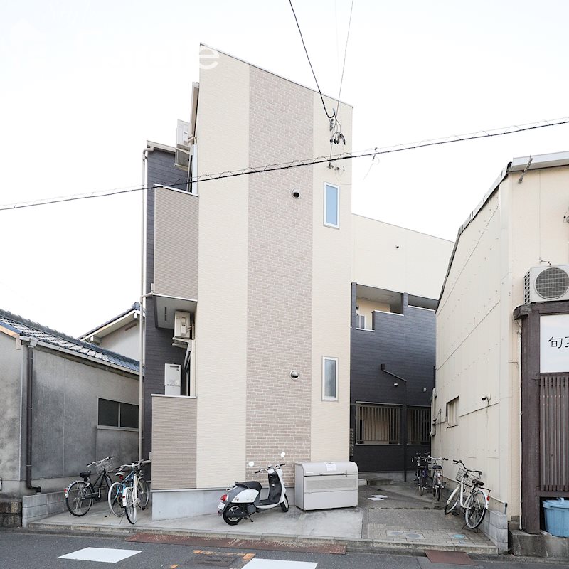 エクセラン白鳥