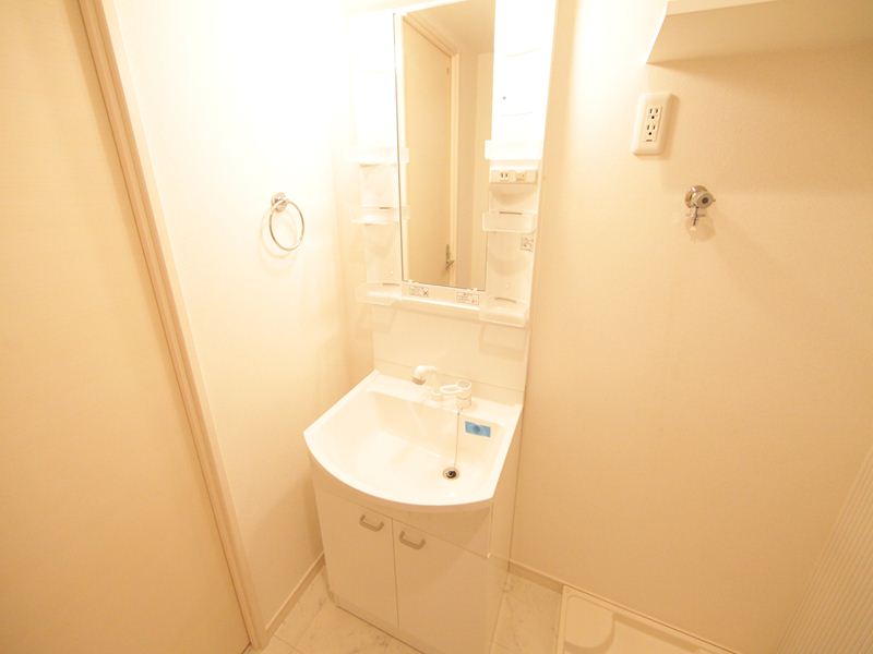 シャンプードレッサー