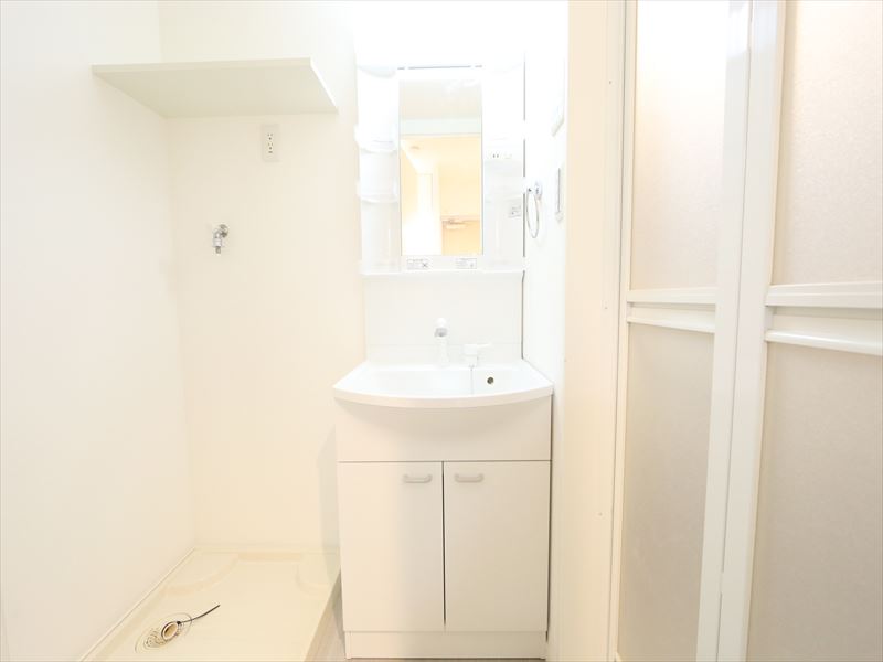 脱衣所 シャンプードレッサー付き