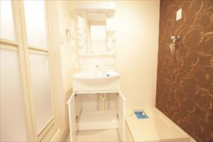 独立洗面台収納