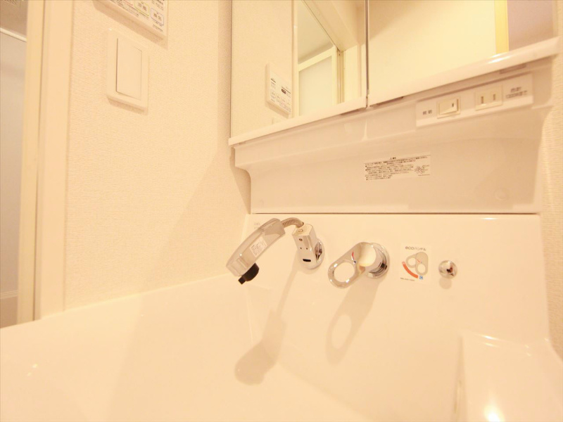 シャンプードレッサー