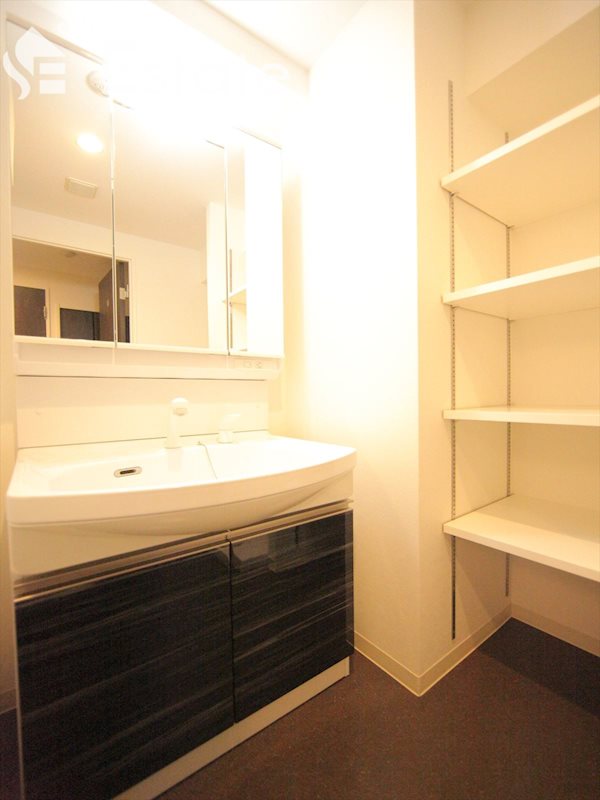 独立洗面台シャワードレッサー付