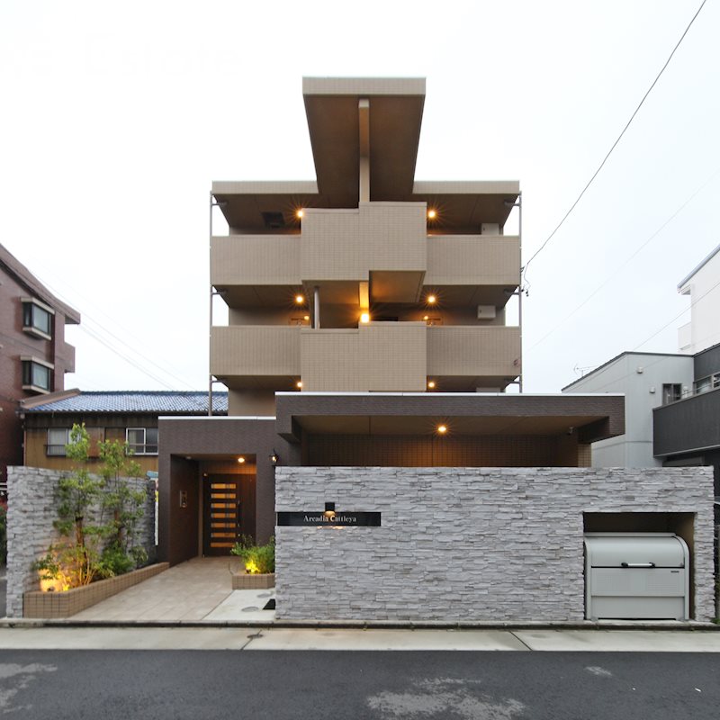 アルカディアカトレア