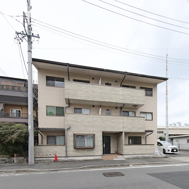 たんぽぽ