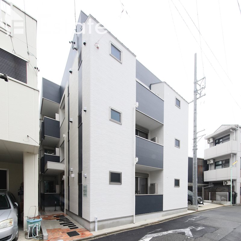DEVELD菊井