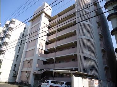 スカイルヒカリ